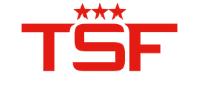 Triple Star Fire and Security Red and White Logo