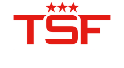 Triple Star Fire and Security Red and White Logo